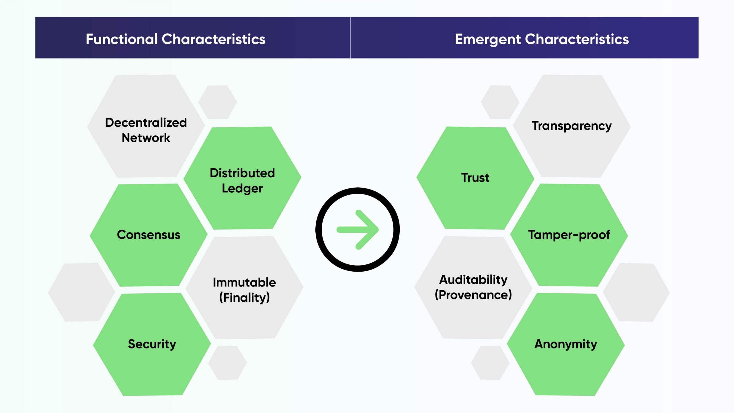 What Are the Characteristics of Blockchain?